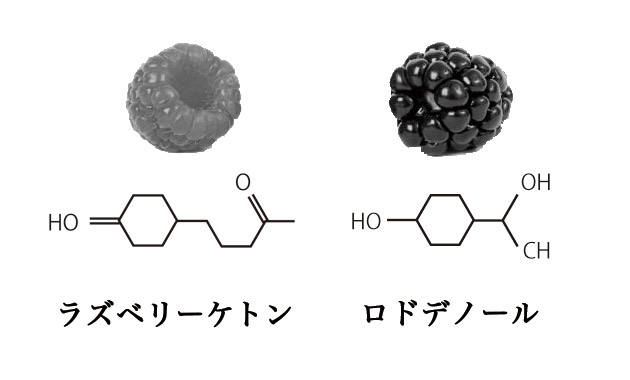 http://www.otwo.co.jp/wp-content/uploads/sites/27/kiitigo.jpg